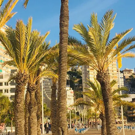 Apartamento Corazon De Monte Carlo