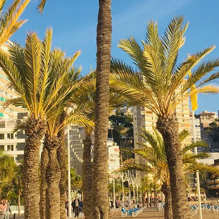 Apartamento Corazón De Monte Carlo